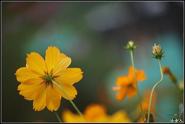 P5070570 P5070570