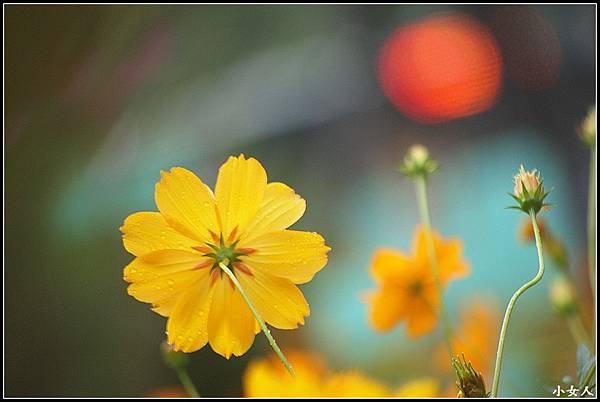 P5070580 P5070580