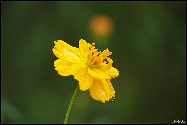 P5070607 P5070607
