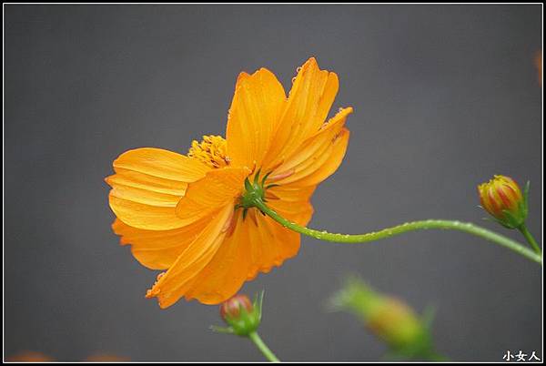 P5070614 P5070614