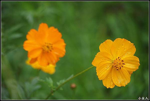 P5070622 P5070622