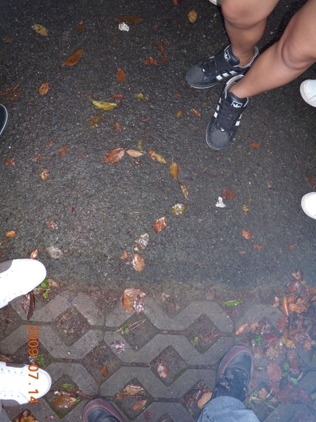 DSCN0713.JPG DSCN0713.JPG