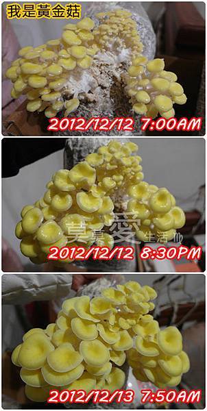 20121215-01 20121215-01