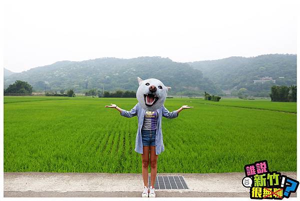 前往九穹湖的路邊