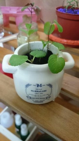 1394209151647 1394209151647