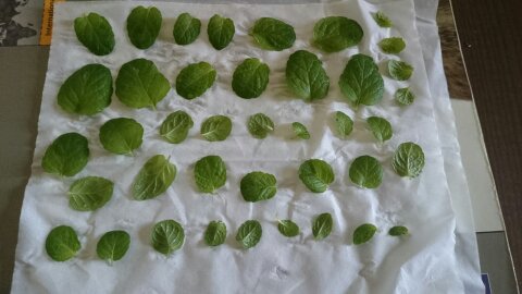 1390704751001 1390704751001