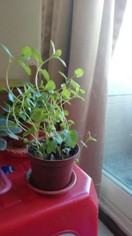 1390635367264 1390635367264