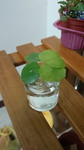 1393944099991 1393944099991