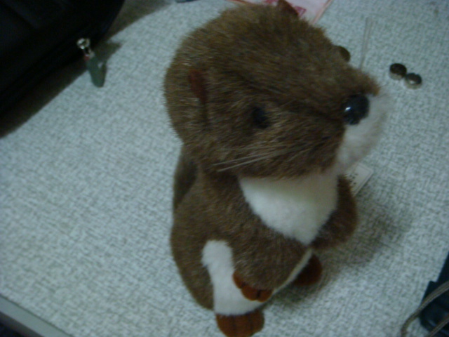 DSC00112.JPG DSC00112.JPG