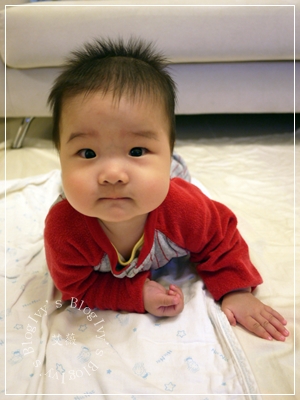 20111204[宇3Y4M12D&安6M20D] 兄弟倆_1.JPG