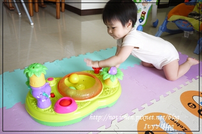 Playskool 跳跳球森林遊戲組_10