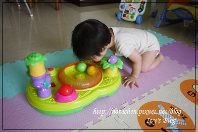 Playskool 跳跳球森林遊戲組_11