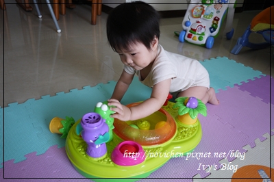 Playskool 跳跳球森林遊戲組_12