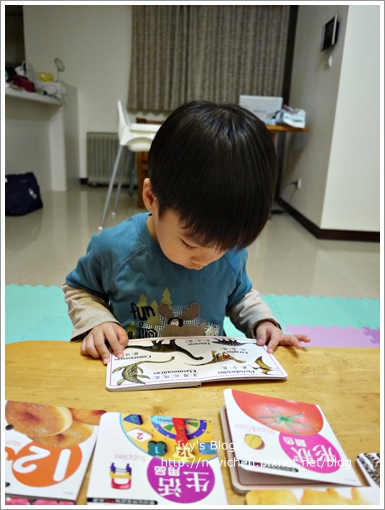 嬰幼兒啟蒙認知玩具書-幼福 18