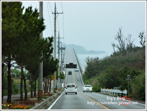 古宇利島_5