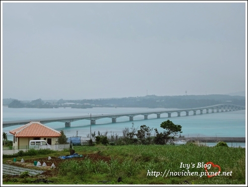 古宇利島_23