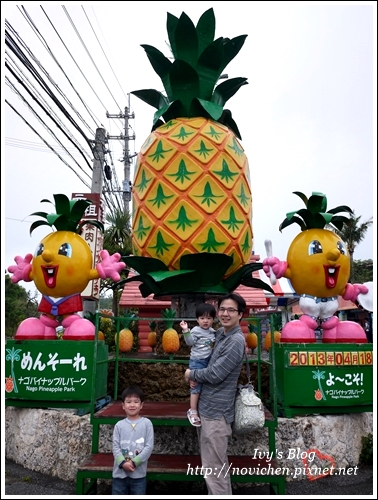 鳳梨園_1