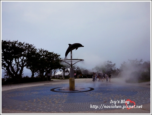 水族館_1