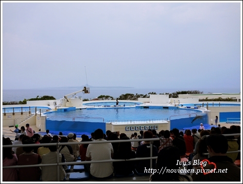 水族館_16