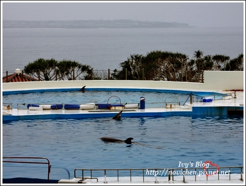 水族館_18