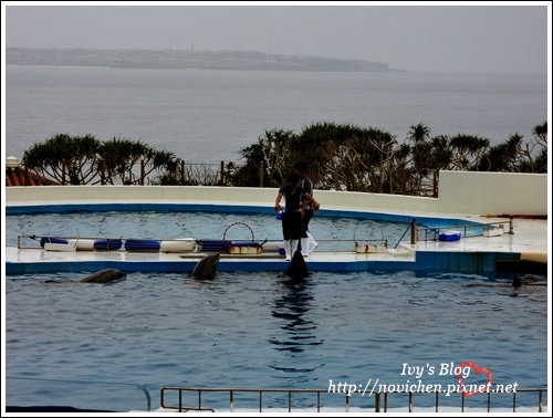 水族館_19