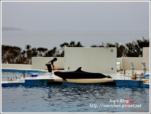 水族館_22