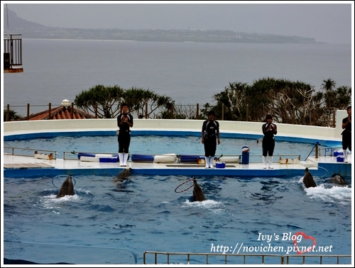 水族館_23