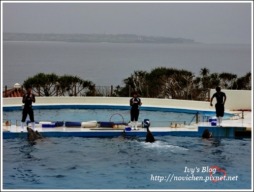 水族館_24