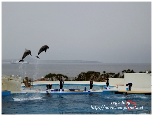 水族館_28