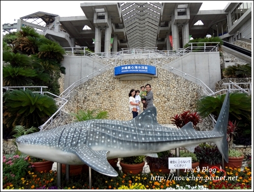 水族館_67