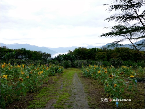 歸園田居_33.JPG