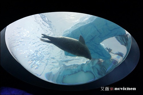 Day2_海遊館_40.JPG