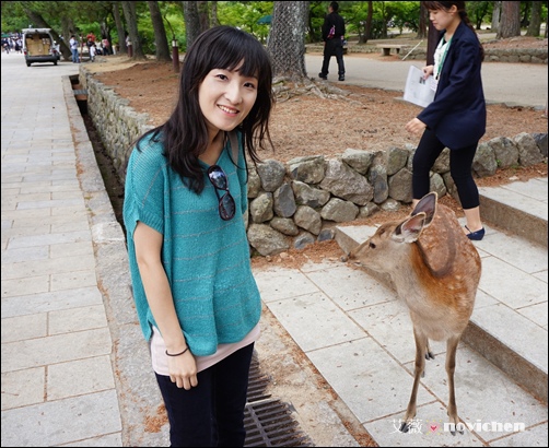 Day5_東大寺_5.JPG