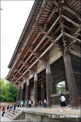 Day5_東大寺_12.JPG