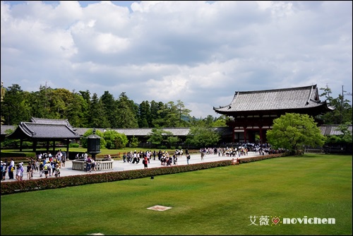 Day5_東大寺_21.JPG