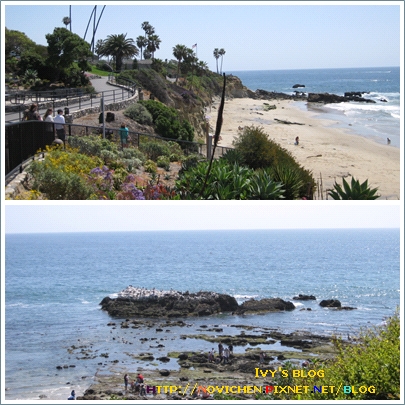 [8M3W] Laguna beach _2.jpg