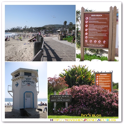 [8M3W] Laguna beach _4.jpg