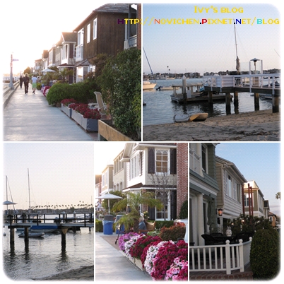 [8M4W] BALBOA ISLAND_2.jpg