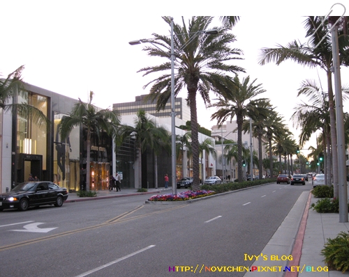 [8M5W] Beverly Hills_Rodeo Drive1.jpg
