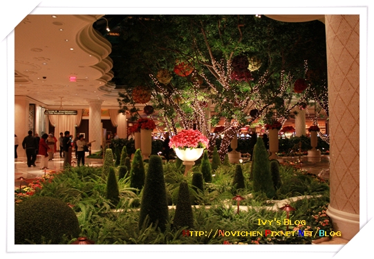 [16M1W] 12_1125 Wynn_Lobby.JPG