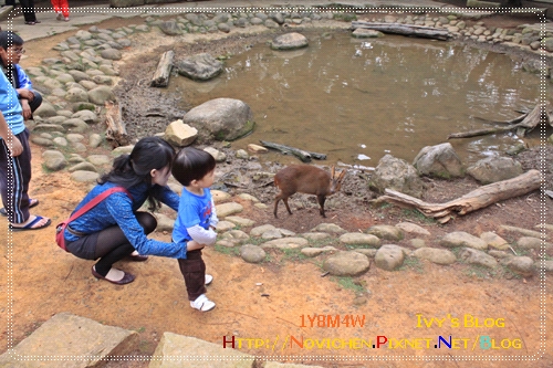 [1Y8M4W] 0417 新竹動物園_10.JPG