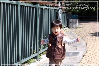 [2Y5M4W&懷孕21W] zoo_12.JPG