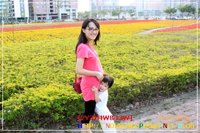 [2Y3M4W] 花園_7.JPG