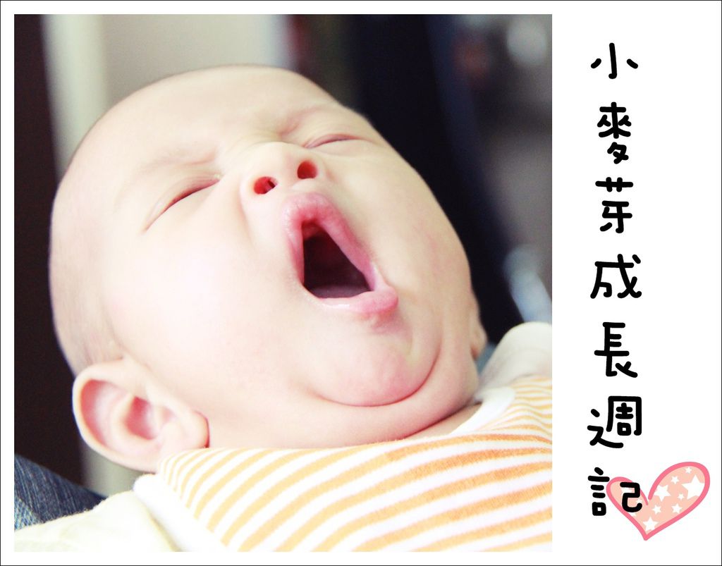 Blog07.jpg Blog07.jpg
