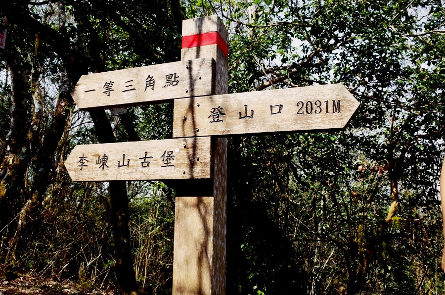 blog_01.JPG blog_01.JPG