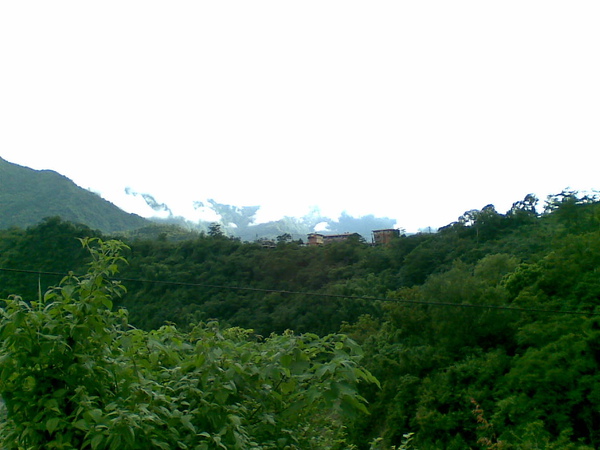 20100905(035).jpg 20100905(035).jpg