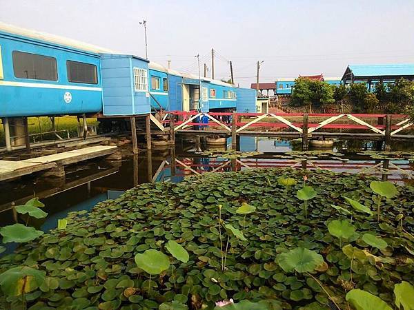 10530817_10204092855660128_4102355690450929818_n