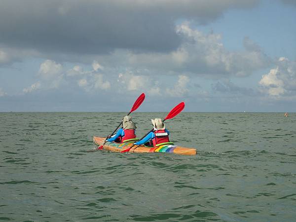 向日葵 巧克力 小瑞