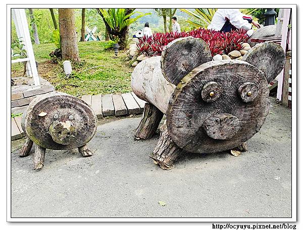 SAM_6036.jpg SAM_6036.jpg