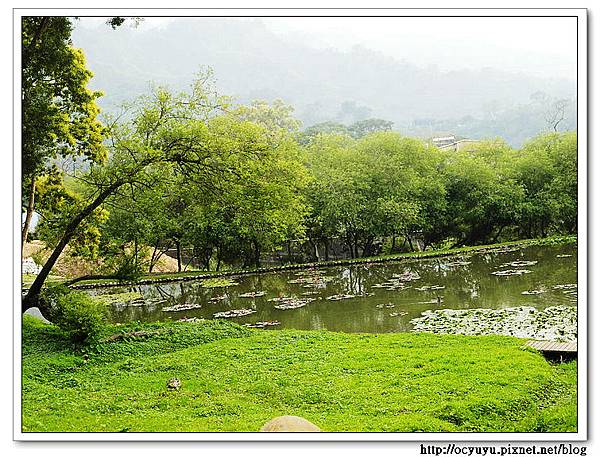 SAM_6045.jpg SAM_6045.jpg